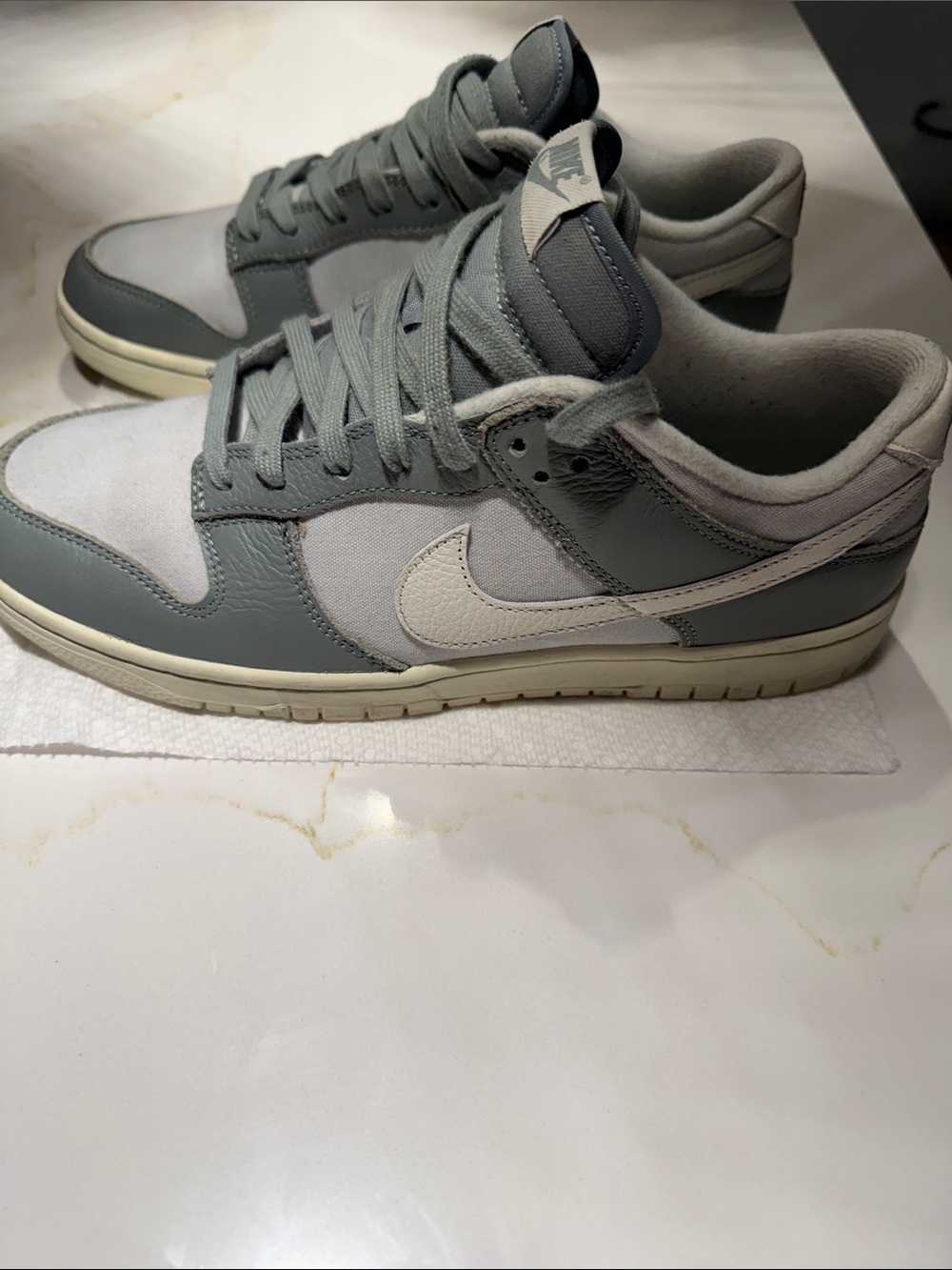 Nike Men’s  Low-Top DUNKS  Sneakers  Cloth & Leather 10 Medium!